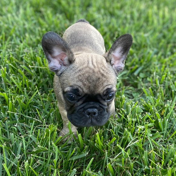 Meet your Posher, Michael - Picture 1 of 1